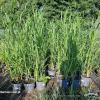 20240719 074840